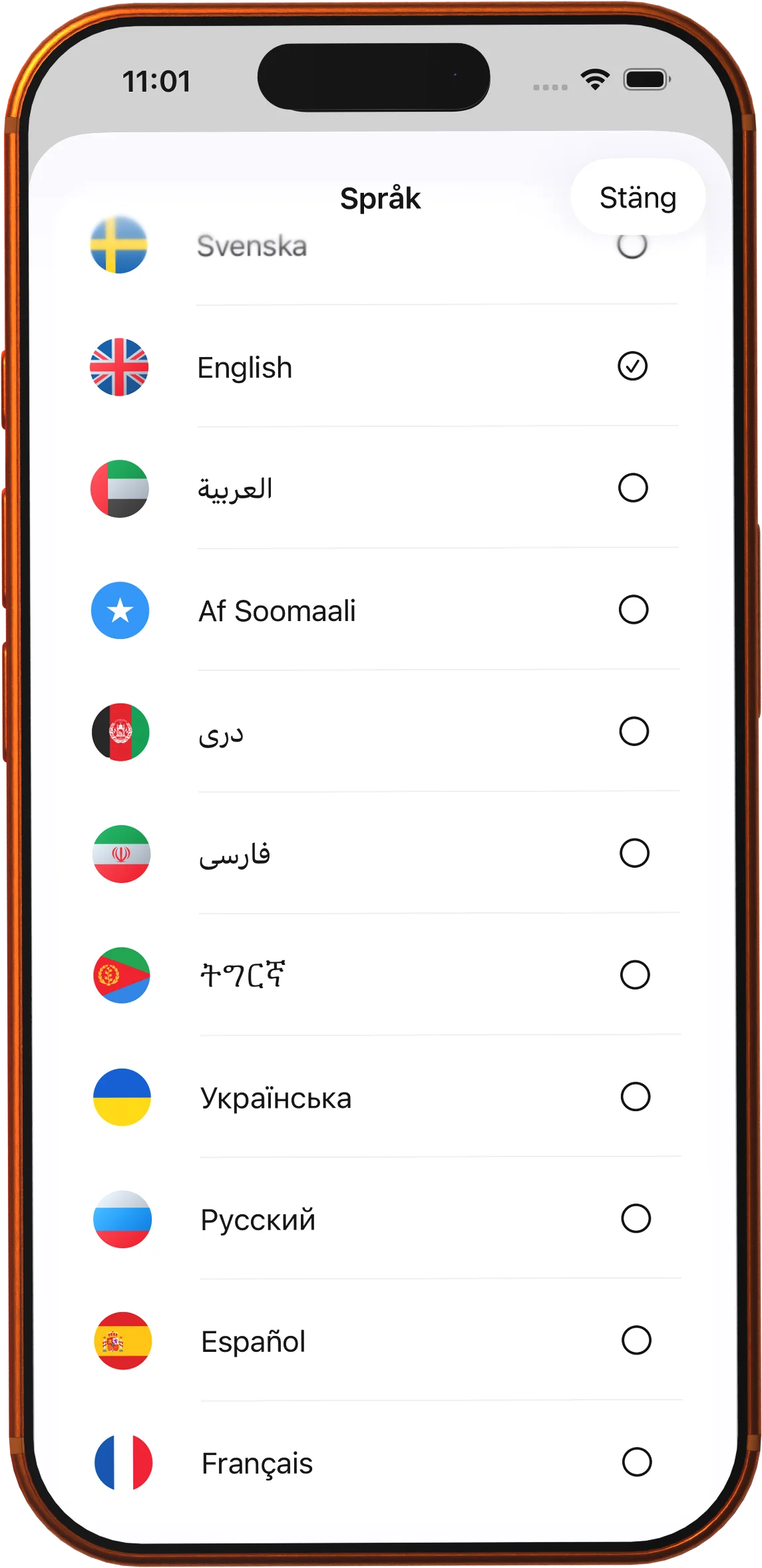 Study in your language, sit the test in Swedish